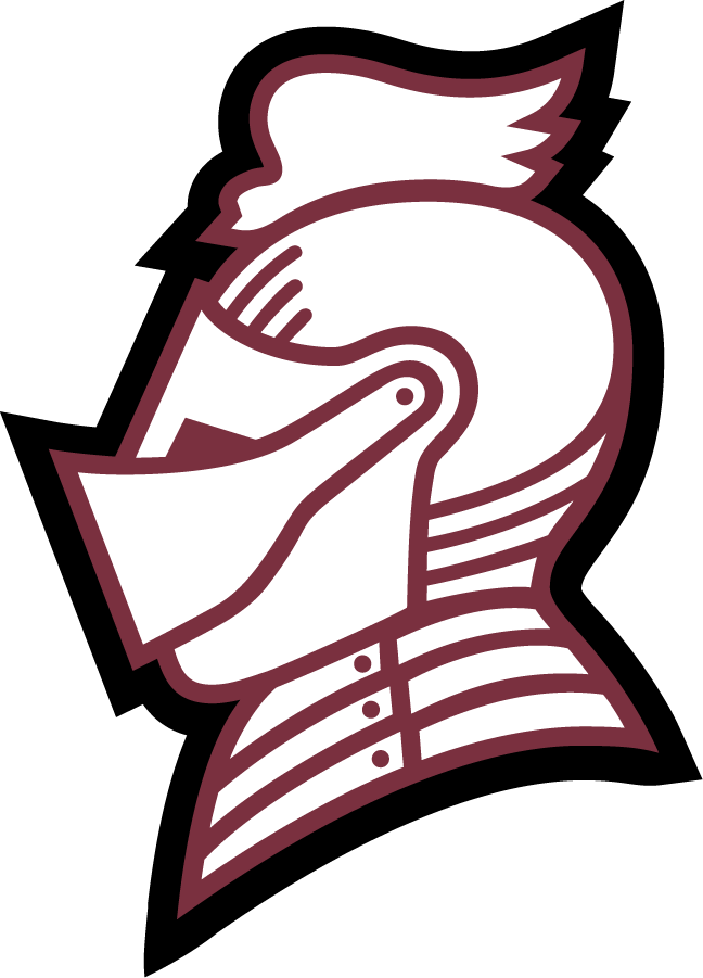 Bellarmine Knights 2010-Pres Secondary Logo v2 diy DTF decal sticker